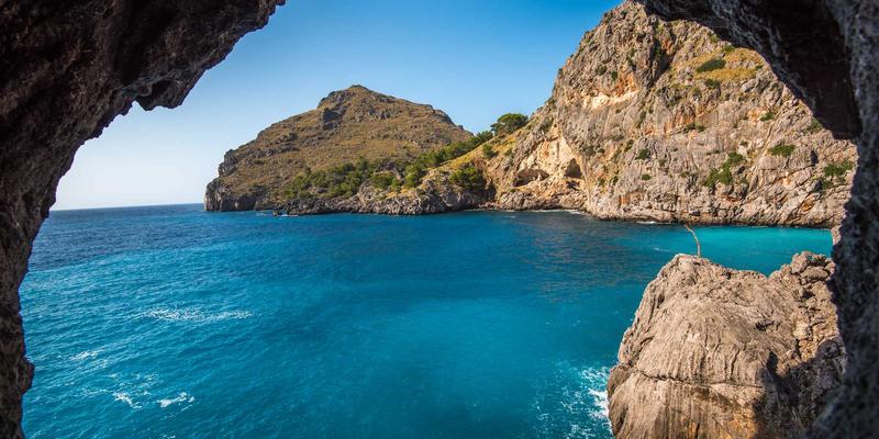 AI驱动的网络故障预测与自愈系统：软件开发与网络安全的智能革命