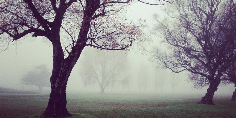 IT解决方案新引擎：400G/800G以太网技术如何重塑数据中心网络架构