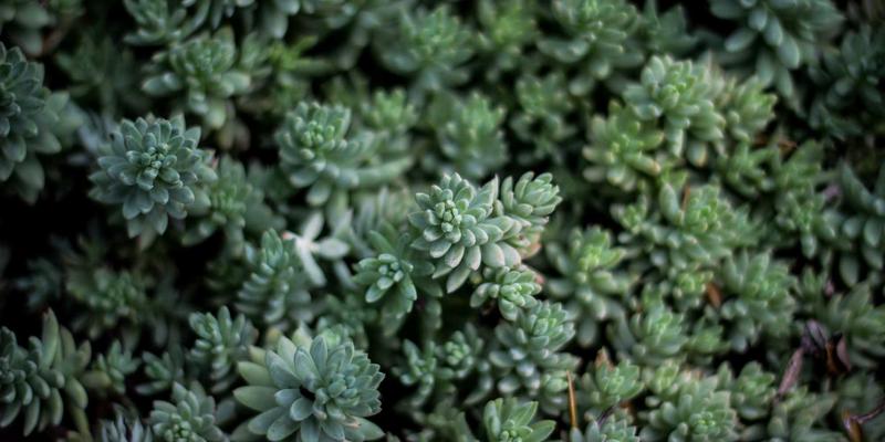 IT解决方案、编程与系统集成：构建现代数字生态的三大支柱