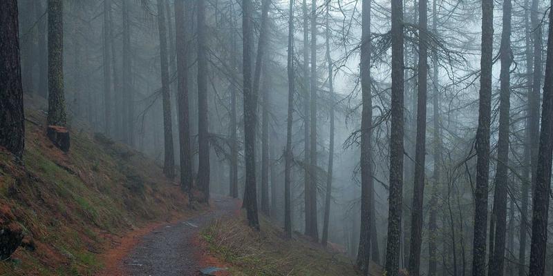 时间敏感网络（TSN）：为工业自动化构建确定性网络保障的关键技术