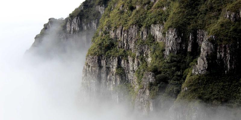 智能化网络新纪元：自组织网络（SON）如何重塑蜂窝网络优化与IT解决方案