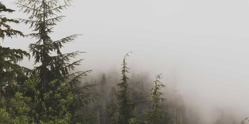 网络性能监控与可观测性平台：关键指标解析与IT解决方案选型指南