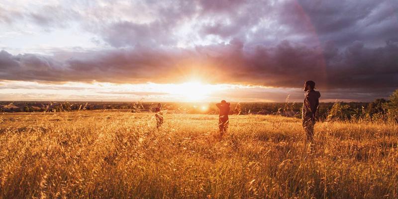 网络技术19:编程、网页设计与系统集成的融合创新