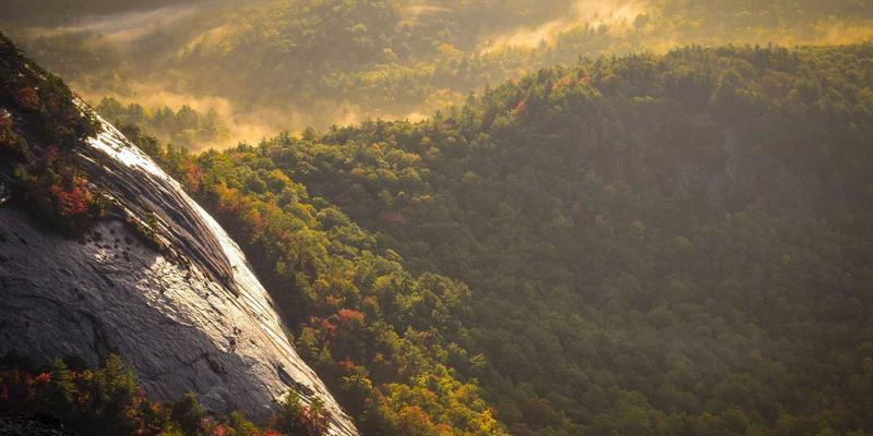 网络技术24:网页设计与IT解决方案如何重塑数字未来