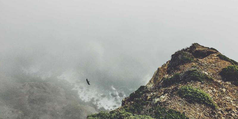 网络技术28：网页设计、网络安全与系统集成的融合之道