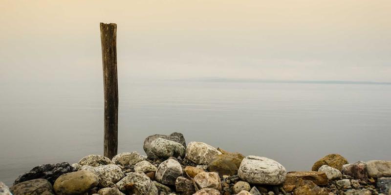 网络技术40：网络安全、网页设计与现代网络技术的融合演进