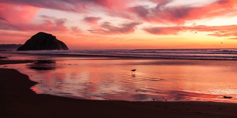 网络技术47:网页设计、网络安全与系统集成的三位一体融合之道