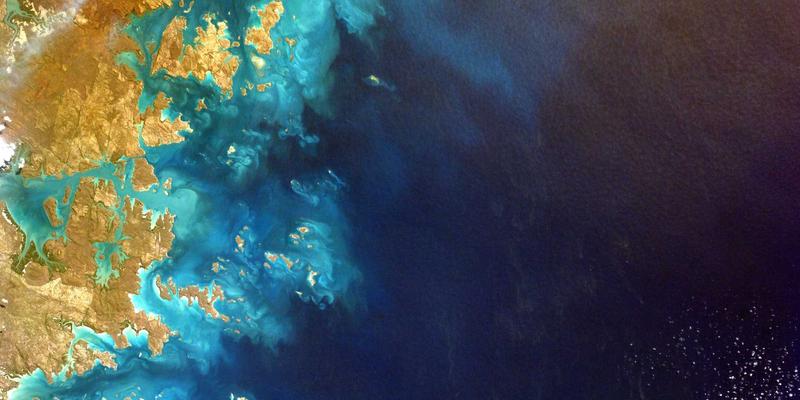 网络技术50:网页设计、系统集成与软件开发的融合创新