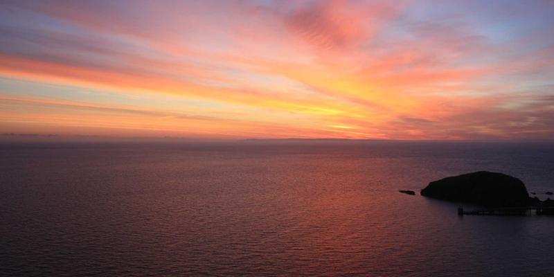 网络技术51：软件开发、网络安全与系统集成的融合之道