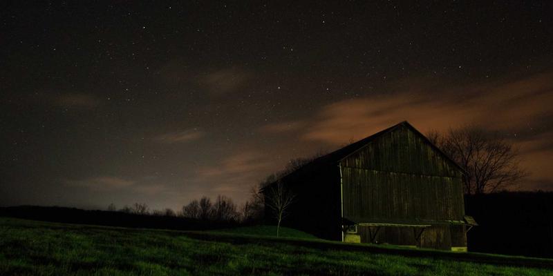 网络技术65:编程、系统集成与IT解决方案的融合创新