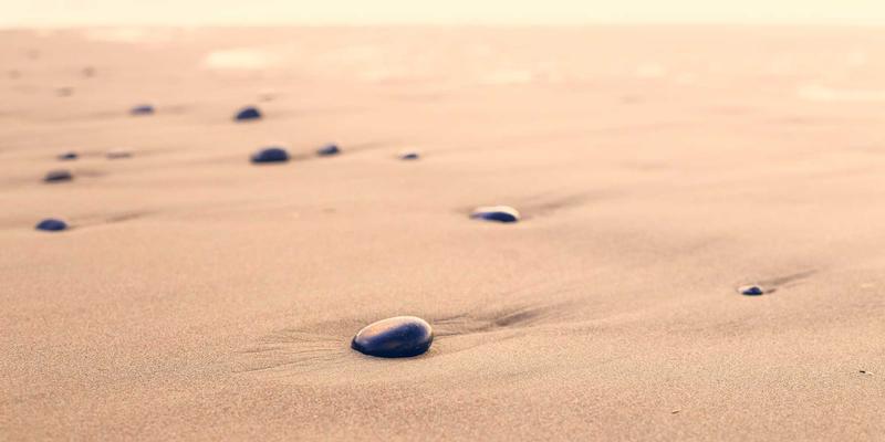 网络技术73:编程、网络安全与未来网络架构的融合演进