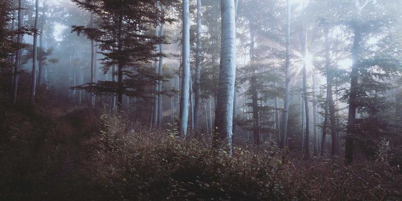 网络技术79:网络安全、IT解决方案与编程的融合创新