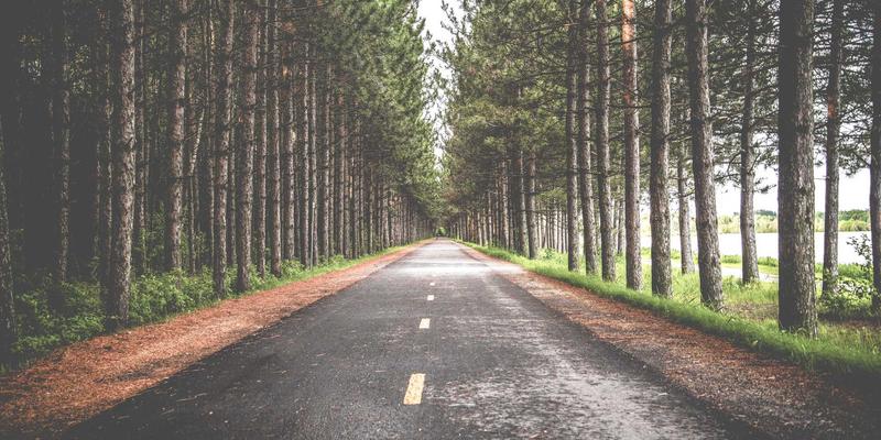 网络技术85：编程、IT解决方案与网络安全的三维融合