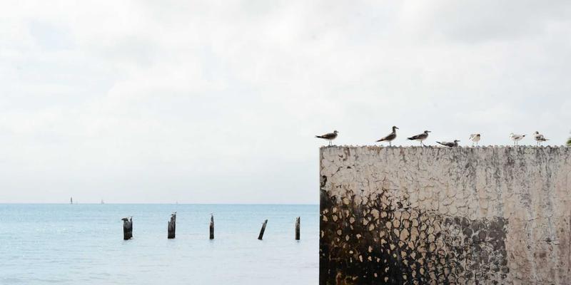 网络技术三位一体：系统集成、网页设计与网络安全的协同之道