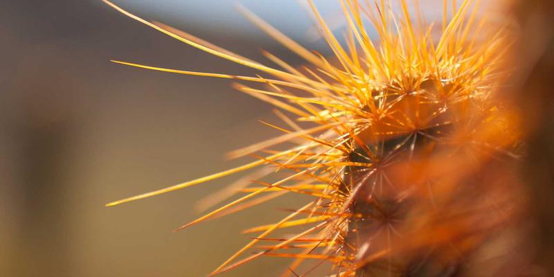 网络技术与IT解决方案新范式：基于意图的网络如何驱动自动化配置革命