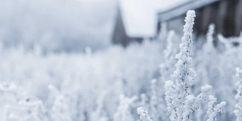 网络遥测技术深度解析：如何通过gNMI与Streaming Telemetry实现网络实时感知与智能运维