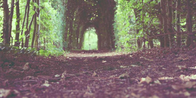 网页设计与软件开发新维度：Ansible与Terraform如何重塑跨云网络编程