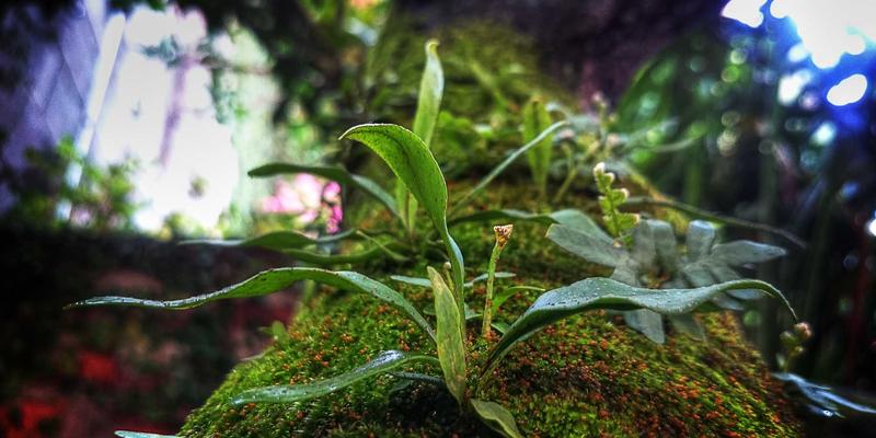 网页设计、网络安全与网络技术：构建卓越数字体验的三重支柱