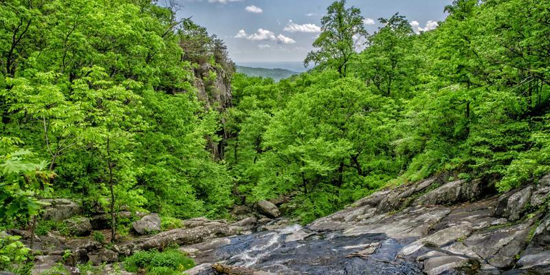 软件开发新前沿：网络切片如何为5G专网打造定制化IT解决方案